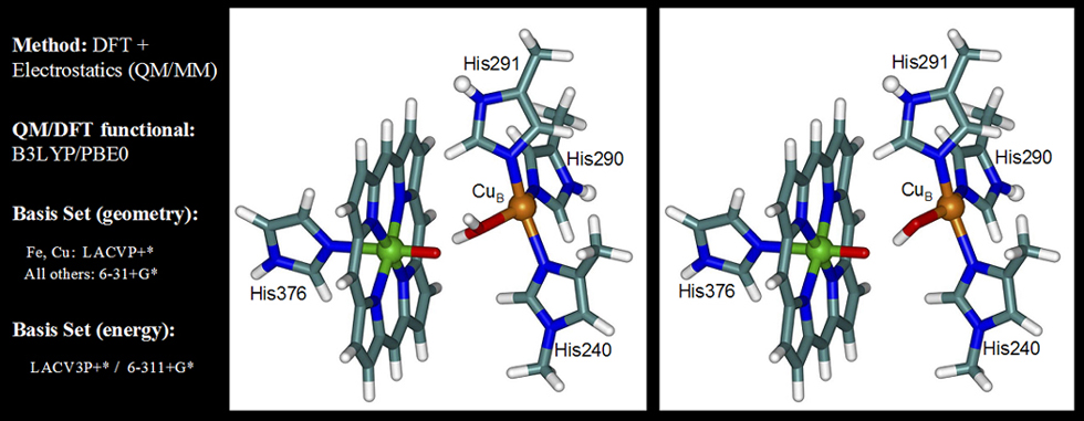 C. Binuclear Complex As QM Part Of QM/MM (extended Model)